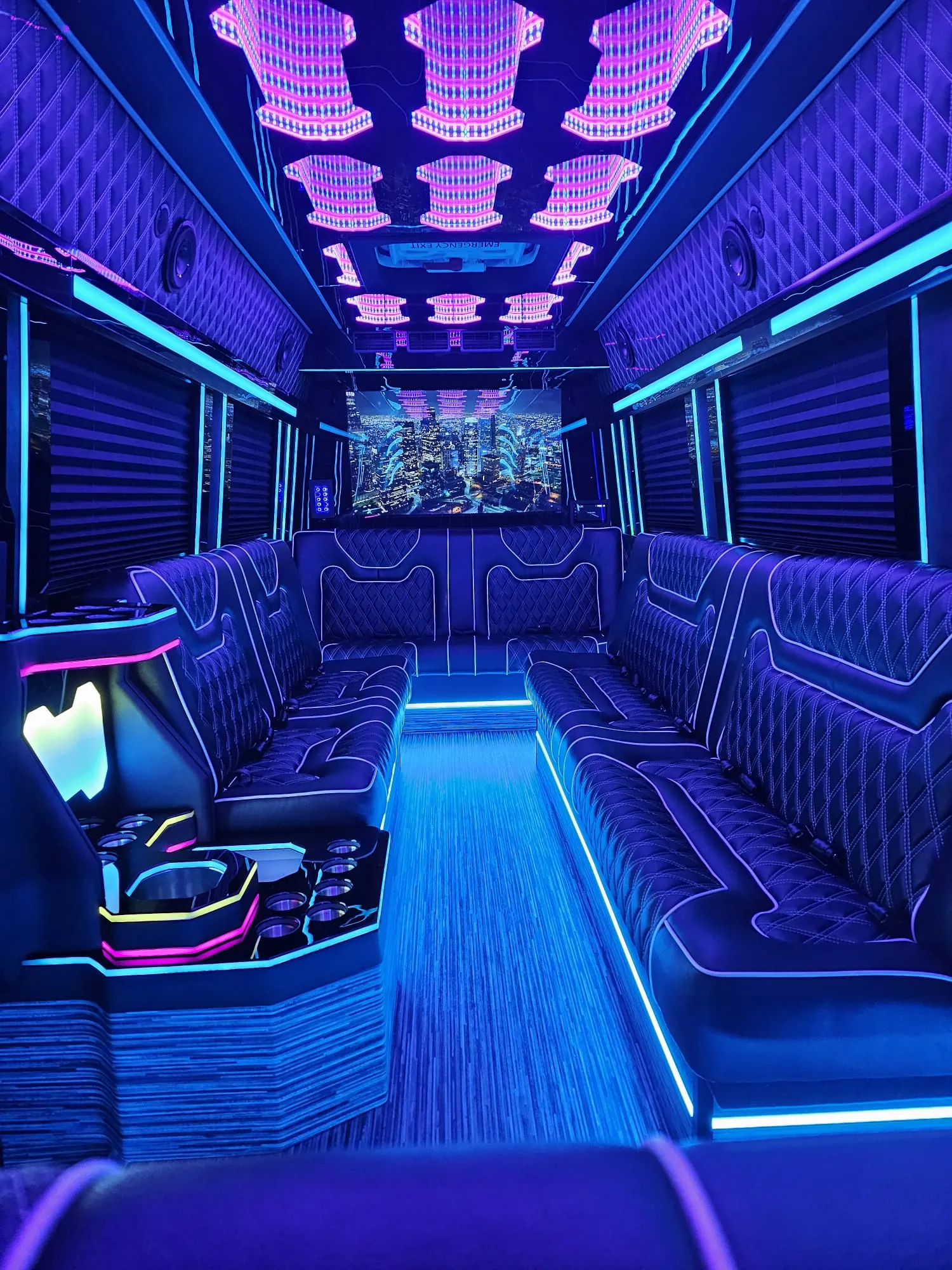 Limo Sprinter interior, photo 6 of 15, NYCSprinterVan.com